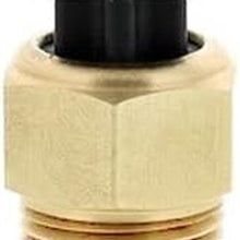1TS1003: Engine Coolant Temperature Sensor