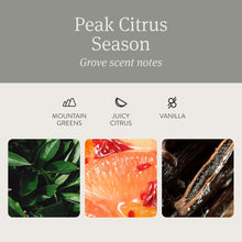 Drift Car Air Freshener - Stone Air Freshener - Car Odor Eliminator - Open Air Scent Starter Kit