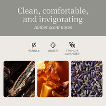 Drift Car Air Freshener - Stone Air Freshener - Car Odor Eliminator - Open Air Scent Starter Kit