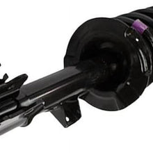 Motorcraft ASTL-29 Suspension Strut and Coil Spring Assembly