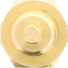 1TS1010: Coolant Temp Sensor