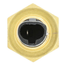 Motorad 1TS1238 Temperature Sender with Gauge