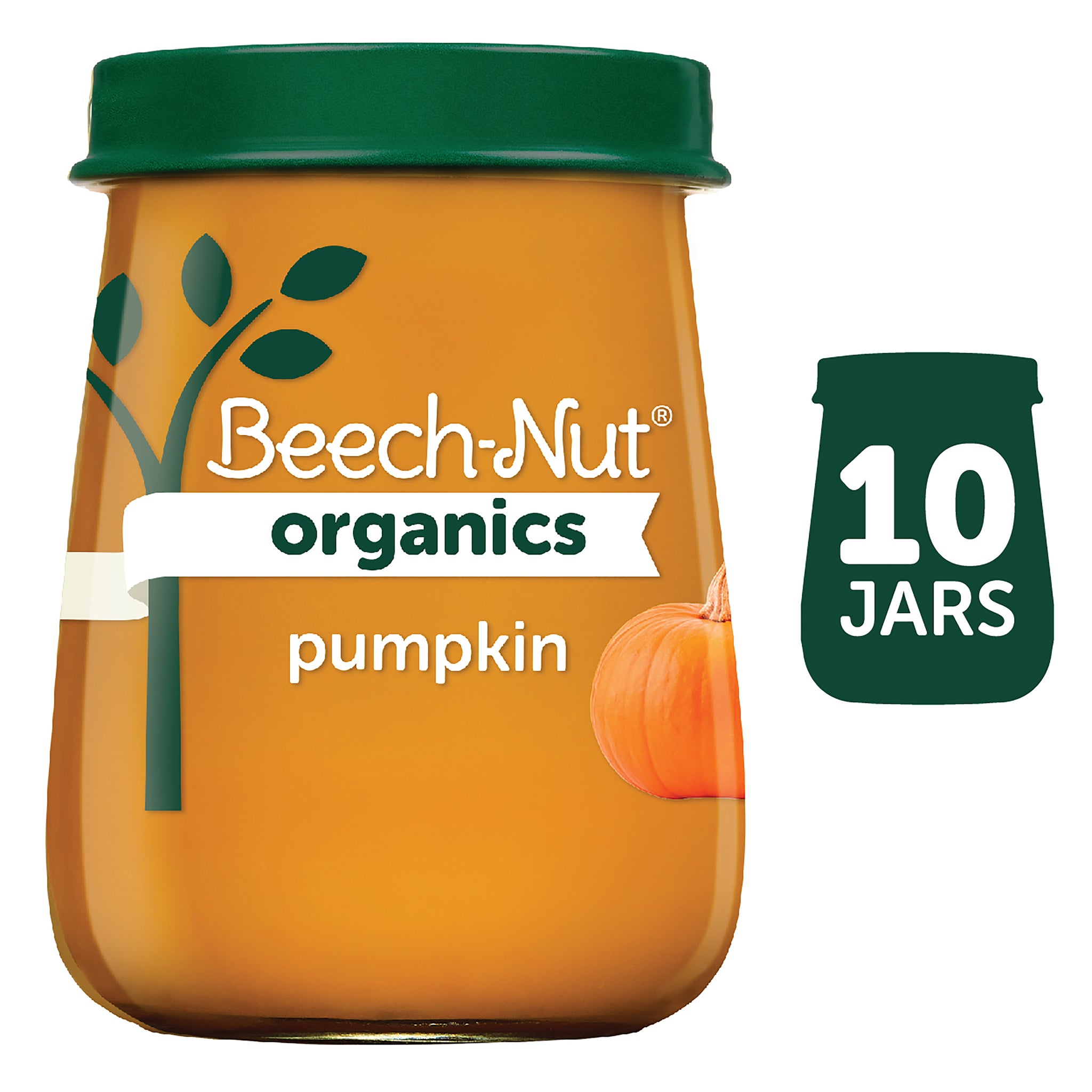 (10 Pack) Beech-Nut Organics Stage 1, Pumpkin Baby Food, 4 oz Jar