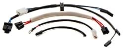 Alternator Wire Harness Compatible with BMW R80 Airhead Motorcycle 12 32 1 243 178, 12 33 1 357 639, 61 11 1 243 646
