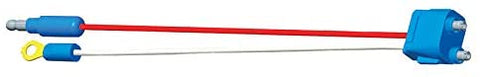 Grote Pigtail, 10-1/4