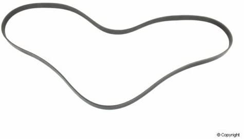 Mitsuboshi 6PK1880 Serpentine Belt