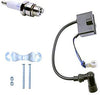 FLYPIG CDI Ignition Coil + Magneto Coil + Spark Plug for 49cc 50cc 60cc 80cc 2-Stroke Engines Motor Motorized Bicycle Bike