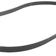 ban.do 7PK1700 OEM Quality Serpentine Belt