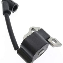 PARTSRUN 309261001 FL42 Ignition Coil Module for Homelite Ryobi 309261004,309261002,UT-10580,UT-10560,UT-10540 ZF-IG-A00283