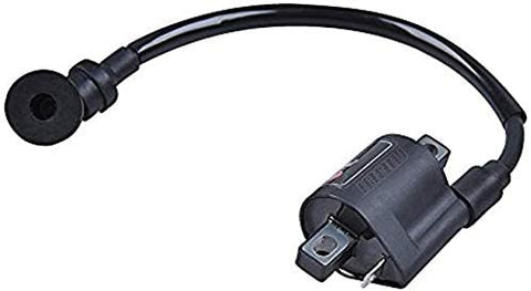 Nibbi Racing Parts Replacement High Performance Modified Parts Twin Power Ignition Accessories 40000v Ignition Coil for Yamaha RS Engine Scooter Kayo T4 T6 Water Cooling Engine Nc250