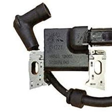 PARTSRUN ID#DZ440 1K1 H40S01 10A003 Ignition Coil + Spark Plug Fits Honda 30500Z6L043 for GX630 GX660 GX690 GXV630 GXV660,ZF042-DHHS