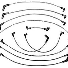Ford Racing M12259C462 Ignition Wires, Blue