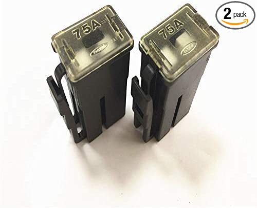 2PC 1989-2015 Gray #OEM 24370-89920 2437089920 FL75A 75A 75amp 75 Fuse