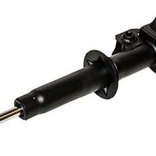 Gabriel G52348 Black Ultra Strut, 1 Pack