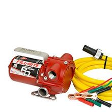 Fill-Rite RD1212NN 12 GPM 12V Portable Fuel Transfer Pump with Power Cord