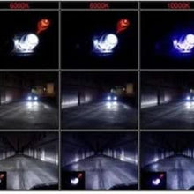 Zone Tech H11-8K Xenon Replacement Headlight Bulb, Set of 2 (HID H11 8000K)