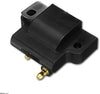 Fudoray Ignition Coil Replaces 582508 18-5179 183-2508 for 1985-2005 Johnson Evinrude 4-300HP 4 4.5 5 6 6.5 8 20 25 28 40 45 48 50 55 60 65 70 75 80 85 88 90 110 155 185 200 250 275 300 HP Engines