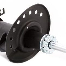 Gabriel G52591 Ultra Struts - 1 Pack