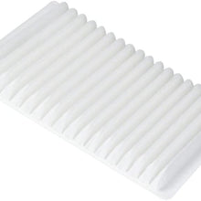 ECOGARD XC25876 Premium Cabin Air Filter Fits Ford Edge 2007-2015 | Lincoln MKX 2008-2015, MKZ 2008-2009, MKS 2009 | Mazda CX-9 2007-2015