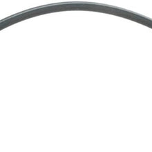 Raybestos BH38266 Professional Grade Hydraulic Brake Hose