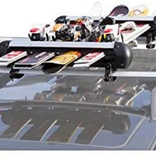 Apex SKI-4 Ski and Snowboard Roof Rack