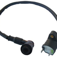 Scooter Ignition Coil for Honda Ruckus Zoomer NPS50 NPS 50 - New