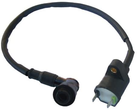 Scooter Ignition Coil for Honda Ruckus Zoomer NPS50 NPS 50 - New