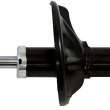 Gabriel G56641 Ultra Strut, 1 Pack