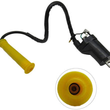 WGL New Ignition Coil Fits for Honda 400 400Ex Trx400Ex Sportrax 1999 2000 2001 2002-2007