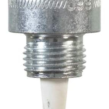 Champion Champion Industrial 599 Spark Plug (Carton of 1)