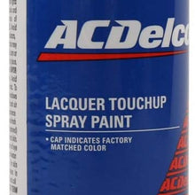 ACDelco 19354940 Black (WA8555) Touch-Up Paint - 5 oz Spray