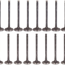 ECCPP Engine Intake Exhaust Valves Kit Replacement for 1989-2006 Eagle Hyundai 1.6L 1.8L 2.0L 2.4L 4.6L DOHC 16Pcs VKCNV756 22212-33000 Intake Valve