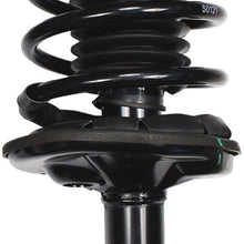 HANSCOSTAR 1 Pair Front Shock Absorber Struts & Spring Kit Fit 1998-2002 Prizm & 1993-2002 Corolla