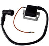 HURI Ignition Coil for Honda XL185 XL70 XL175 XR 75 80 100 125 175 185 200 250 350 30500-437-010