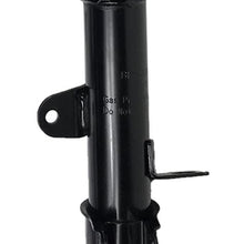 Neutron Set of 2 Rear Suspension Gas Shock Absorber Strut & Springs Compatible with Chevy Geo Prizm& Corolla