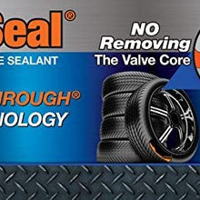 Tru-Flate 12-081 'TruSeal' Premium Tire Sealant 16 oz. Bottle - For Standard Automotive Tires