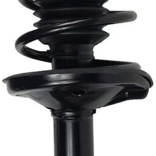 Material Set of 4 Complete Shock Sturt Spring Compatible with 98-02 Prizm 93-97 Prizm 93-02 Corolla