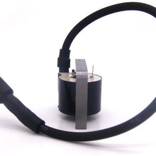 NIMTEK New Ignition Coil Replacement for Kohler CH11-CH15 CH410-CH450 & CV11-CV15 CV430-CV493# 12-584-02 12-584-04-S 12-584-05-S