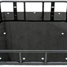 Hornet RZR Roof and Rack