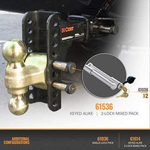 InfiniteRule Security 61775 | 4 Pack Mix, Keyed Alike, Stainless Steel Hitch Locks (Fits: B&W Trailer Hitches)