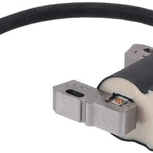 HONEYRAIN 490586 Magneto Armature Ignition Coil with Spark Plug for BS 591459 492341 495859 491312 690248 715231 Engine Lawn Tractor Generator Replace LG492341 LG495859 BS-591459 BS-492341 BS-490586
