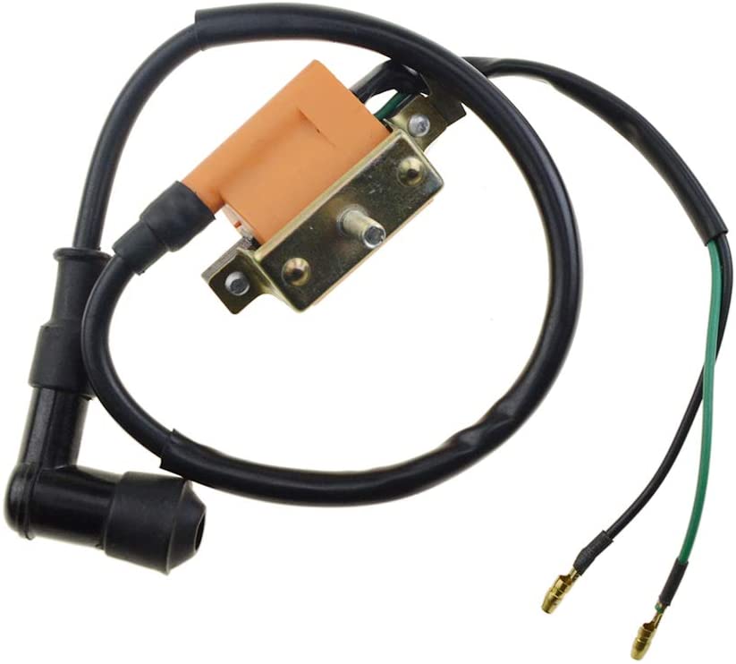 WOOSTAR Motorcycle Ignition Coil Replacement for 50cc 70cc 90cc 110cc 125cc Roketa SSR Taotao Coolster Dirt Pit Bike ATV 4 Wheeler Quad