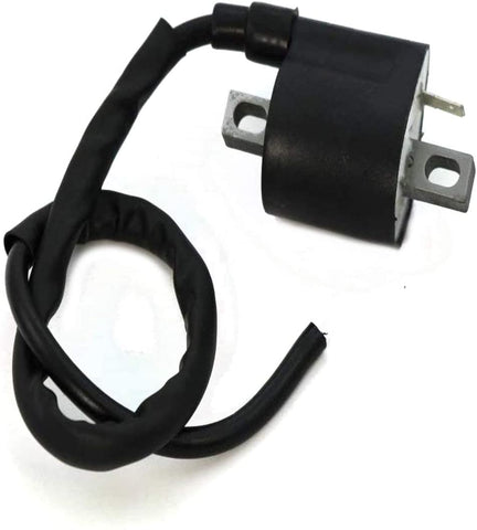 Amhousejoy Ignition Coil Fit for Polaris Trail Blazer 250 ATV 1990-2006