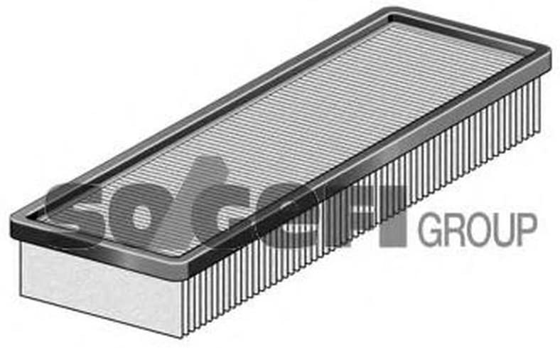 FRAM CA4309 Air Filter