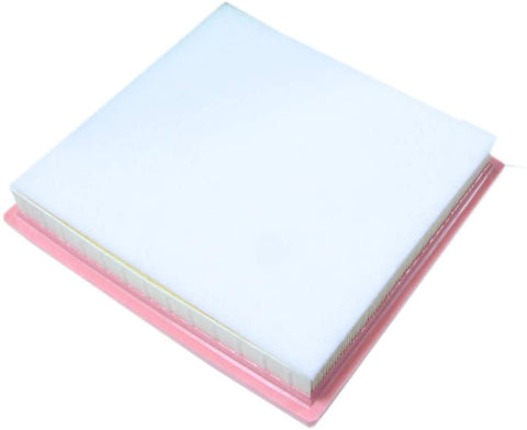 Air Filter-GAS OMNIPARTS 22012122