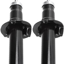 Shocks and Struts,ECCPP Front Pair Shock Absorbers Strut Kits Compatible with 1998 1999 2000 2001 2002 Honda Accord 2001 2002 2003 Acura CL 1999 2000 2001 2002 2003 Acura TL 341257 71691
