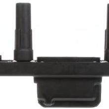 Delphi GN10529 Cassette Ignition Coil