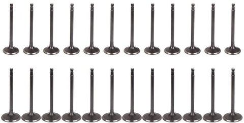 ECCPP 24pcs Engine Intake and Exhaust Valves Kit Fit for for Nissan 350Z Altima Maxima Murano NV1500 NV2500 Xterra for Suzuki Equator for Infiniti FX35 G35 I35 M35 QX4 QX56 EM10213 IM1012