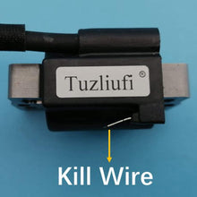 Tuzliufi Ignition Coil Armature Magneto for 492416 493237 555530 557040 590454 695711 790817 794854 796964 799381 802574 New Z575