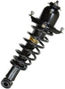 AutoShack CST100808 Rear Passenger Side Complete Strut Assembly